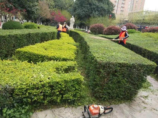 贵州城市园林绿化工程哪家好