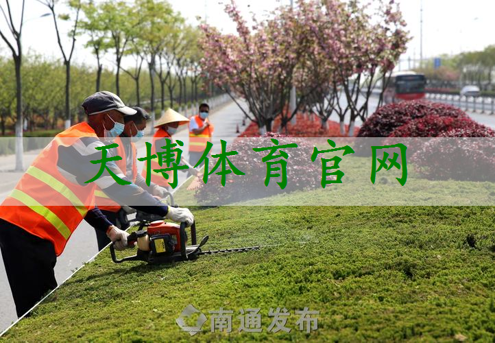 汝州城市道路绿化规范2022