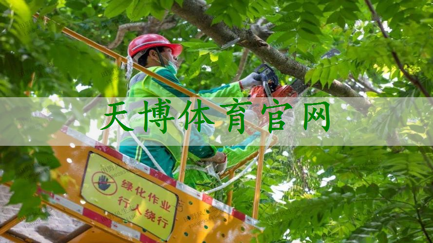 兴县荒山绿化工程招标公告